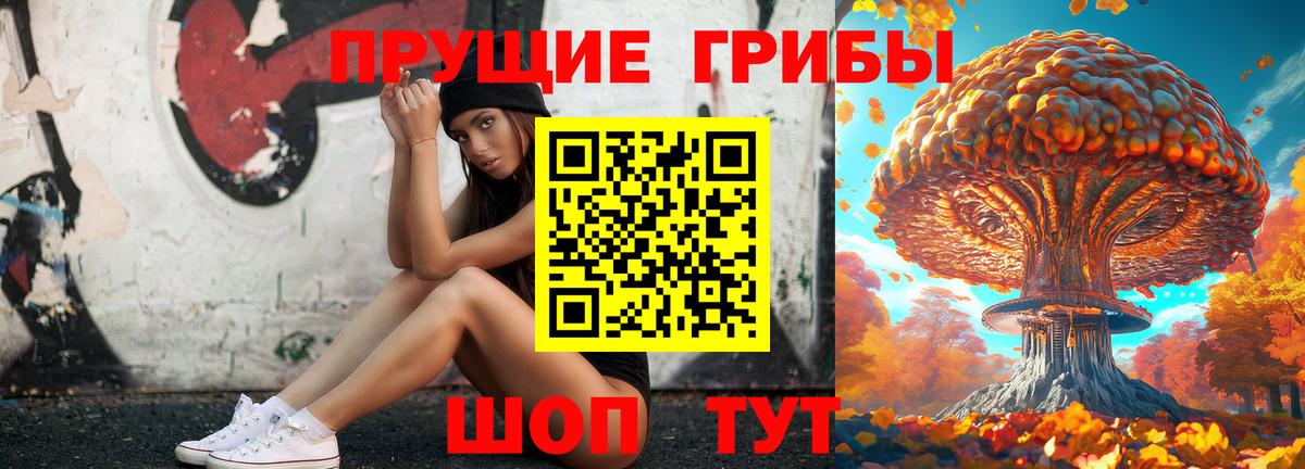 Псилоцибиновые грибы прущие грибы Аша