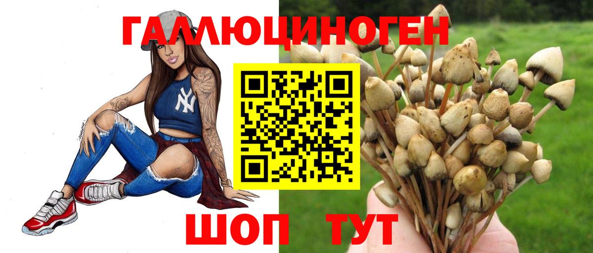 Псилоцибиновые грибы GOLDEN TEACHER  Псилоцибиновые грибы ЛСД  Аша  Вход с VPN 
